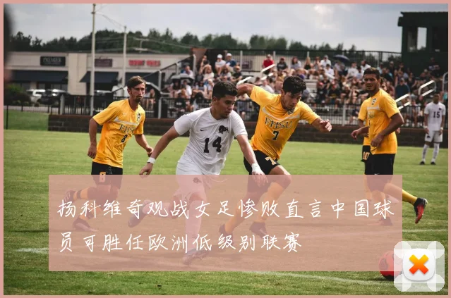 扬科维奇观战女足惨败直言中国球员可胜任欧洲低级别联赛