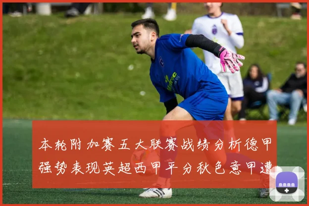 本轮附加赛五大联赛战绩分析德甲强势表现英超西甲平分秋色意甲遭遇挑战
