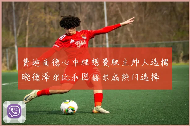 费迪南德心中理想曼联主帅人选揭晓德泽尔比和图赫尔成热门选择