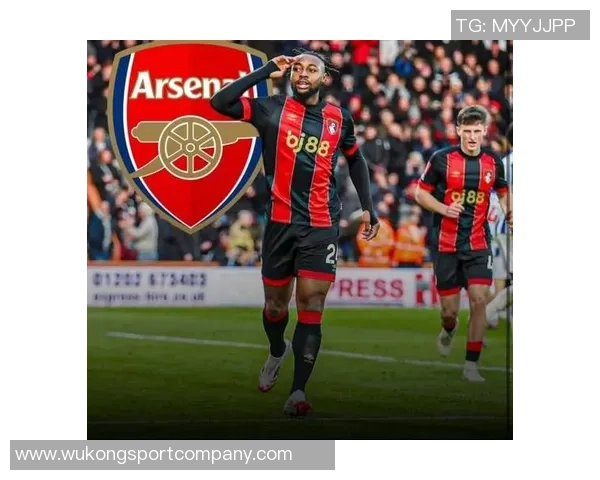 伯恩茅斯近年盈利分析：塞梅尼奥贡献6175万索兰克赫伊森均超4000万